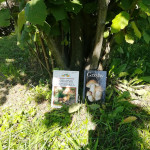 Powiększ zdjęcie Poradniki dla grzybiarzy