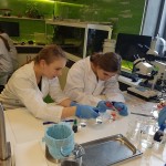 Warsztaty biologiczne i chemiczne w Centrum Nauki Kopernik  