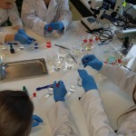 Powiększ zdjęcie Warsztaty biologiczne i chemiczne w Centrum Nauki Kopernik  - zdjęcie 2
