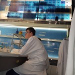 Powiększ zdjęcie Warsztaty biologiczne i chemiczne w Centrum Nauki Kopernik  - zdjęcie 3