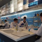 Powiększ zdjęcie Warsztaty biologiczne i chemiczne w Centrum Nauki Kopernik  - zdjęcie 4