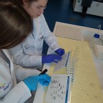 Powiększ zdjęcie Warsztaty biologiczne i chemiczne w Centrum Nauki Kopernik  - zdjęcie 5