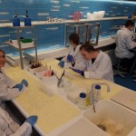 Powiększ zdjęcie Warsztaty biologiczne i chemiczne w Centrum Nauki Kopernik  - zdjęcie 6
