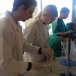 Powiększ zdjęcie Klasa 3E w Instytucie Chemii - zdjęcie 5