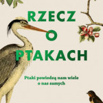 Powiększ zdjęcie Czytanie na trawie - zdjęcie 6