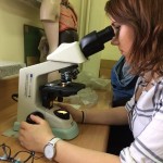 Powiększ zdjęcie Lekcja biologii na UJK - zdjęcie 3