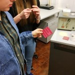 Powiększ zdjęcie Lekcja biologii na UJK - zdjęcie 4