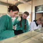 Powiększ zdjęcie Zajęcia w Instytucie Chemii UJK - zdjęcie 2