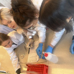 Powiększ zdjęcie Zajęcia w Instytucie Chemii UJK - zdjęcie 3