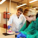 Powiększ zdjęcie Lekcja chemii na UJK - zdjęcie 7