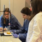 Powiększ zdjęcie Lekcja chemii na UJK - zdjęcie 8