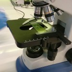 Powiększ zdjęcie Warsztaty biologiczno-chemiczne klasa 2d - zdjęcie 10