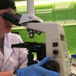 Powiększ zdjęcie Warsztaty biologiczno-chemiczne klasa 2d - zdjęcie 12