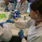 Powiększ zdjęcie Warsztaty biologiczno-chemiczne klasa 2d - zdjęcie 17