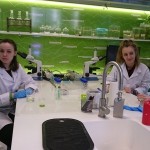 Powiększ zdjęcie Warsztaty biologiczno-chemiczne klasa 2d - zdjęcie 2