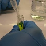 Powiększ zdjęcie Warsztaty biologiczno-chemiczne klasa 2d - zdjęcie 22