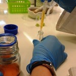 Powiększ zdjęcie Warsztaty biologiczno-chemiczne klasa 2d - zdjęcie 8