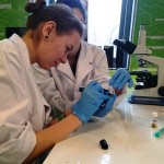 Powiększ zdjęcie Warsztaty biologiczno-chemiczne klasa 2d - zdjęcie 9