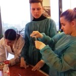 Powiększ zdjęcie Warsztaty tematyczne w Instytucie Chemii - zdjęcie 10