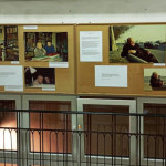 Powiększ zdjęcie Wystawa fotografii pana Konrada Cedro